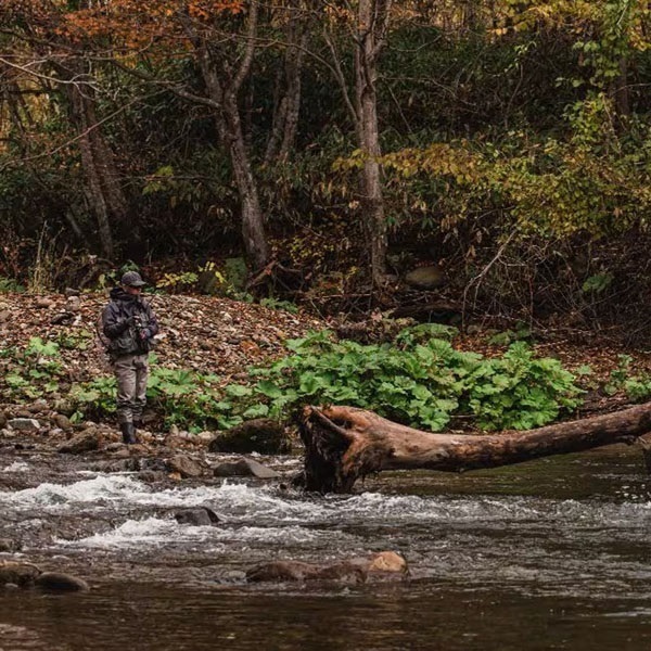 CARDIFF リフレイン 50HS